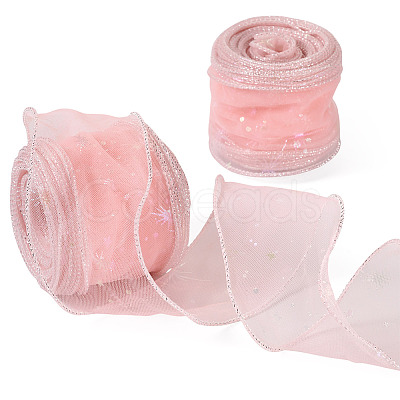 Polyester Deco Mesh Ribbons OCOR-TAC0024-004D-1
