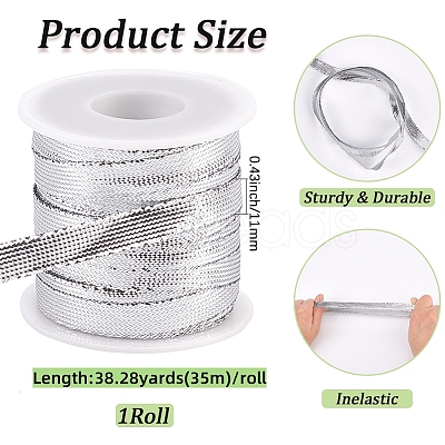 Sparkle Nylon Ribbon OCOR-GF0004-48D-06-1