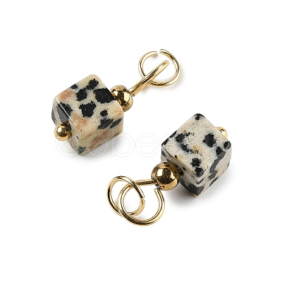 Natural Dalmatian Jasper Pendants STAS-Z129-01G-06-1