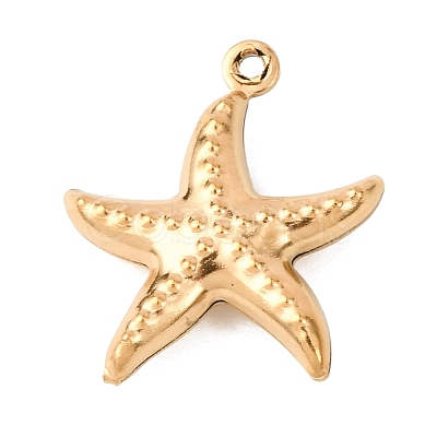 304 Stainless Steel Pendants STAS-D129-17F-G-1
