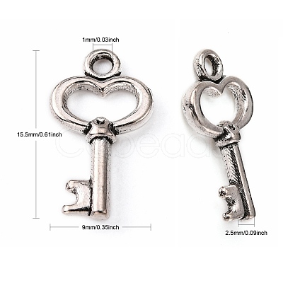 Gifts Ideas for Her Tibetan Style Alloy Charms LF11975Y-1