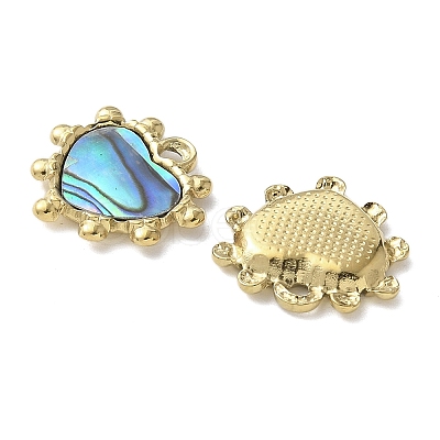 304 Stainless Steel Natural Paua Shell/White Shell Pendants Ion Plating(IP) STAS-U037-06G-01-1