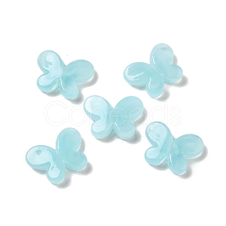 Transparent Acrylic Beads OACR-A021-13J-1