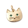 Brass Rhinestone Pendants LS-KK-H253-03G-1
