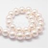 Shell Pearl Bead Strands BSHE-L026-03-16mm-2