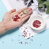 Red Series 600G 24 Colors Glass Seed Beads SEED-JP0008-02-2mm-4