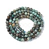 Natural African Turquoise(Jasper) Beads Strands G-N342-29B-3