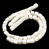 Natural Trochid Shell/Trochus Shell Beads Strands SHEL-C010-05A-3