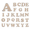 26 Letters Cloth Iron/Sew on Patches PJ-TAC0004-04B-1