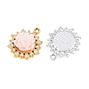 Alloy Resin Pendants RE-CBA4818-04-2