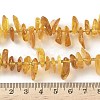 Natural Amber Beads Strands G-L095-D01-03-5