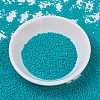 MIYUKI Delica Beads SEED-X0054-DB0793-2