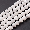 Natural Howlite Beads Strands G-G770-06-1
