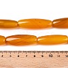 Natural Agate Dyed Beads Strands G-T138-230H-5