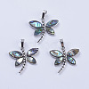 Abalone Shell/Paua Shell Pendants SSHEL-L008-07P-1
