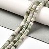 Natural Peace Jade Beads Strands G-R437-06-1