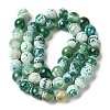 Dyed & Heated Natural Fire Crackle Agate Beads Strands G-P539-B01-21-3