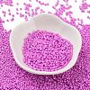 Baking Paint Glass Seed Beads SEED-S042-05B-90-2