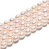 Natural Cultured Freshwater Pearl Beads Strands PEAR-N024-07-4AB-2