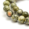 Natural Rhyolite Jasper Bead Strands G-G684-01-8mm-4