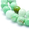 Natural Chrysoprase Beads Strands G-O166-03-10mm-3