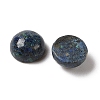 Natural Azurite Cabochons G-Q171-06A-01-2