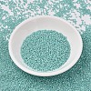 MIYUKI Delica Beads SEED-MY11-DB1576-2