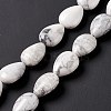 Natural Howlite Beads Strands G-L242-13-6