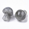 Natural Labradorite GuaSha Stone G-N0325-02P-3