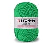 4-Ply Polyester Acrylic Fiber Blended Yarn PW-WG2A0C2-12-1-1