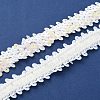 Yarn Lace Trims SRIB-WH0011-036C-1