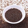 MIYUKI Delica Beads X-SEED-J020-DB1891-2