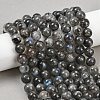 Natural Labradorite Beads Strands G-Z133-A01-10mm-01-1