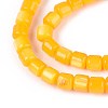 Dyed Natural Freshwater Shell Beads Strands SHEL-T020-56B-3