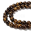 Grade AB Natural Tiger Eye Round Beads Strands X-G-E334-8mm-17-3