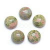 Natural Unakite Cabochons G-P393-R31-10mm-1