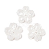 Natural White Shell Carved Beads SSHEL-I026-12D-05-1
