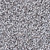 MIYUKI Delica Beads X-SEED-J020-DB0630-4