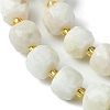 Natural Moonstone Beads Strands G-Q010-A05-01-4