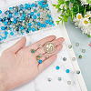 240Pcs 8 Style Crackle Transparent Glass Beads CCG-GO0001-01-3