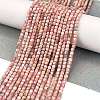 Natural Argentina Rhodonite Beads Strands G-Z057-A01-01-2