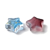 Transparent Smooth and Frosted Glass Beads GLAA-O023-19-4