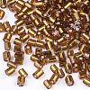 FGB Grade A Glass Seed Beads SEED-S022-04A-21-2