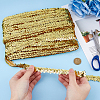 Polyester with Paillette Lace Trim Ribbon OCOR-WH0101-90E-3