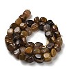 Natural Petrified Wood Beads Strands G-P497-01E-72-3