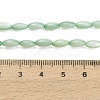Natural Freshwater Shell Beads Strands SHEL-C010-01A-4