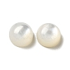 Natural White Shell Cabochons SSHEL-M022-01A-1