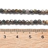 Natural HuBei Turquoise Beads Strands LS-G-G140-A05-05-4