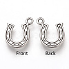 Tibetan Style Alloy Charms TIBEP-T002-81AS-RS-1