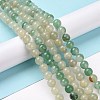 Natural Green Aventurine Beads Strands G-Q462-8mm-20B-3